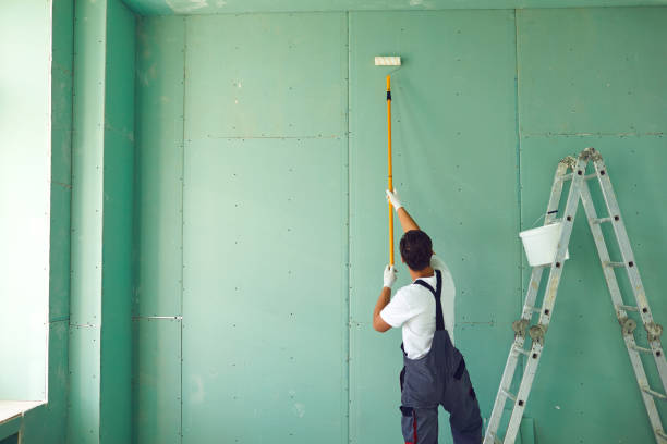 Professional Dry wall and painting in Jones Valley, CA